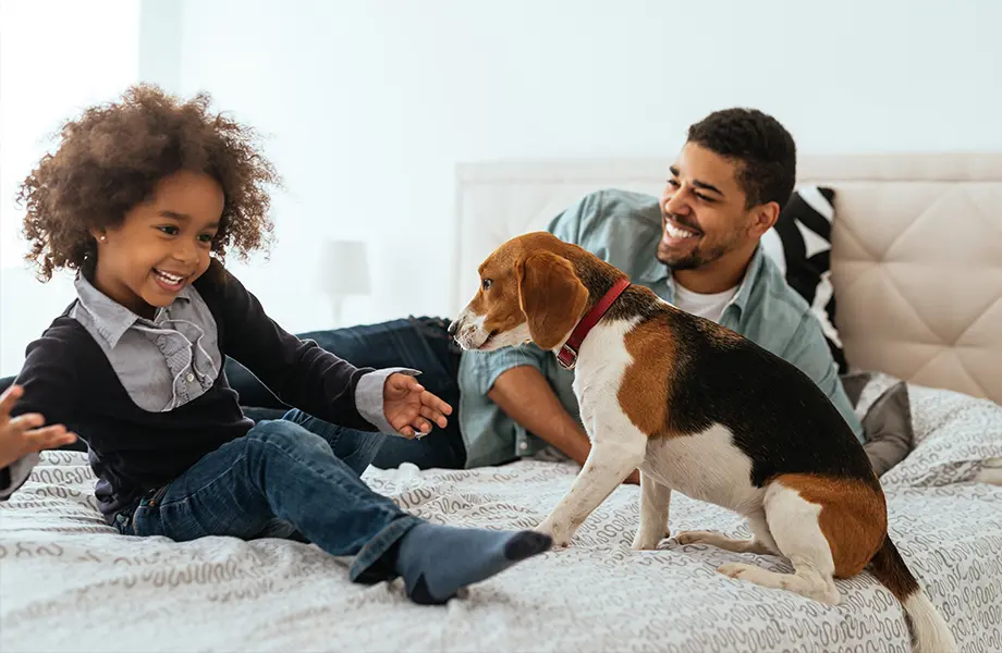 Read more about the article Energy Efficiency For Every Room In Your Home