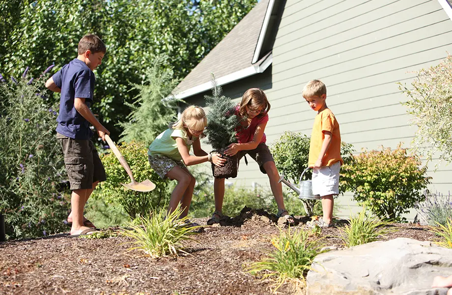 Read more about the article Landscaping Your Way To An Energy-Efficient Outdoors