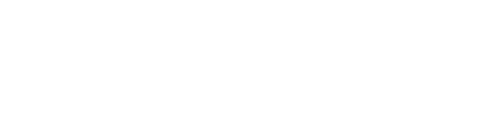 Accessibility Initiative Logo