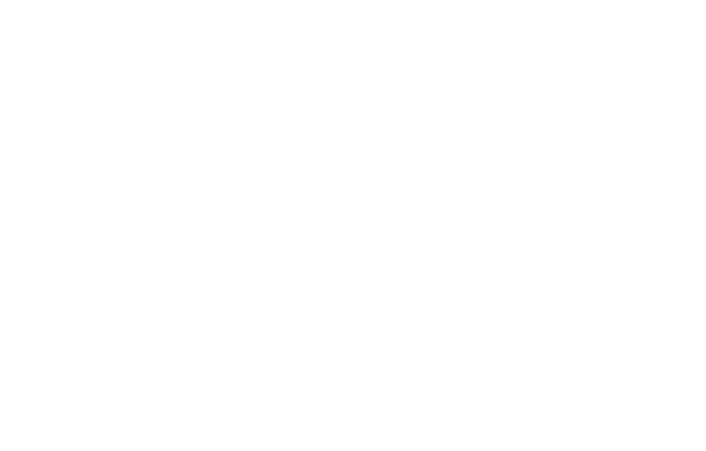 Market Development Initiative logo