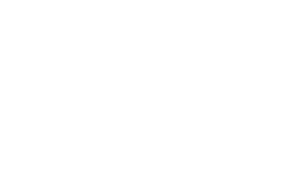 Market Development Initiative logo