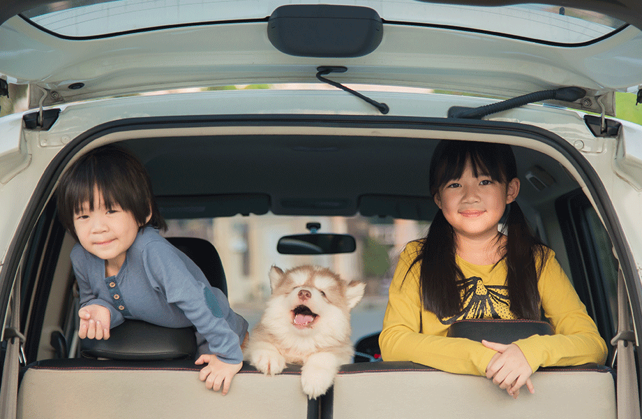 Read more about the article Enjoy Energy Savings Even When You’re Away from Home