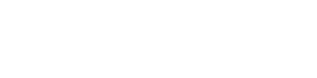 Accessibility Initiative Logo