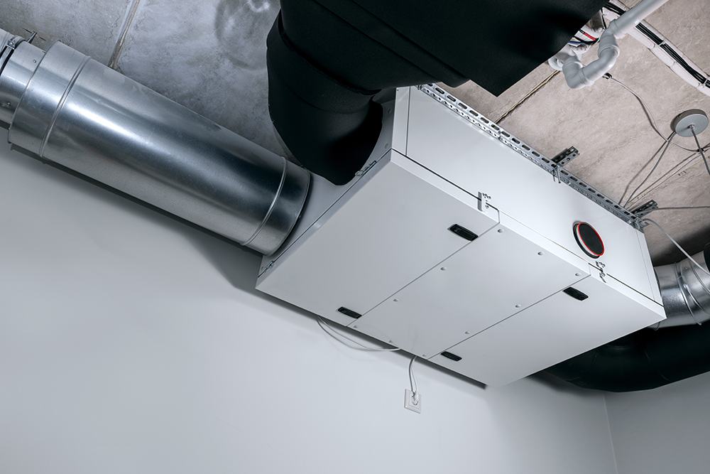 shutterstock_2111853911_web